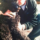 Maurizio Minichino's photo