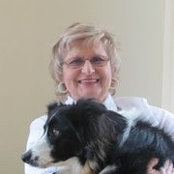 Lane Mclelan's photo