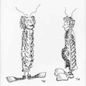 David Larsen's photo