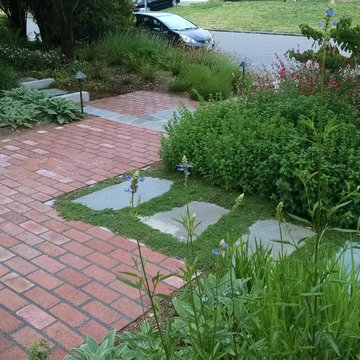 Wildlife Friendly Entry