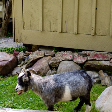 My Houzz: DIY Love and Nature-Inspired Colors Update a Couple’s Garden
