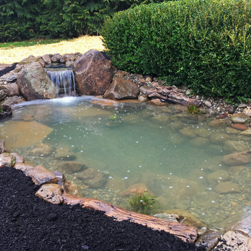 Winter Pond Build
