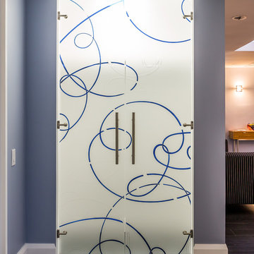 Lake Shore Drive Contemporary Gut Renovation