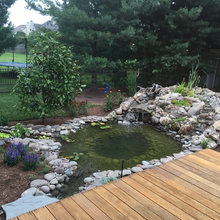 Koi Ponds