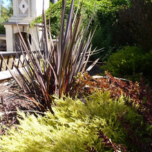 Kevin: Backyard Inspiration Pics