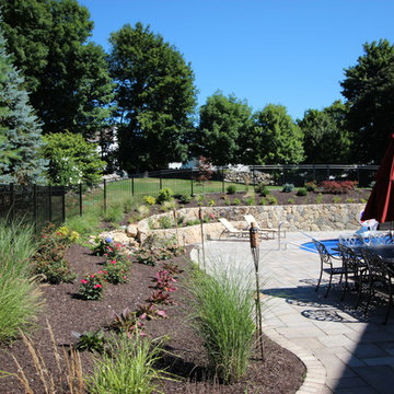 Complete Backyard Remodel