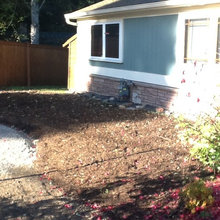 Garden Renovation