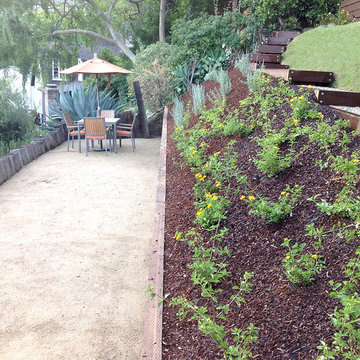 Unique Hillside Landscaping Design--Update