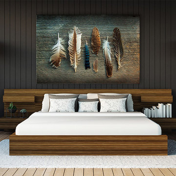 Feather Collection I