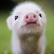 Kim Lim's photo