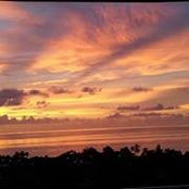 Priscilla Powell's photo