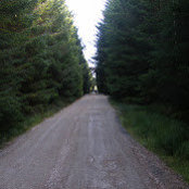 Aisling Gallagher's photo