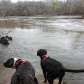 chad vollnogle's photo