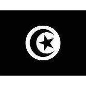 Mounir Hamza's photo