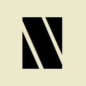 Nolan Tarantino's photo