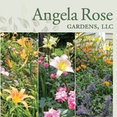 Angela Rose Gardens LLC's profile photo