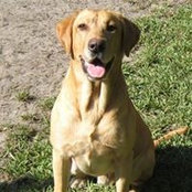 Brandy Atkinson's photo