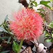 Sunanda Kondreddy's photo