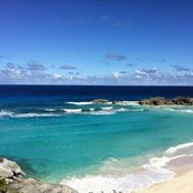 Nadia Niro's photo