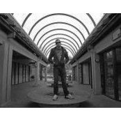 Dustin Dosanjh's photo