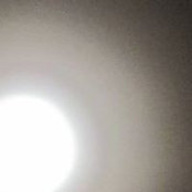 William Roberts's photo