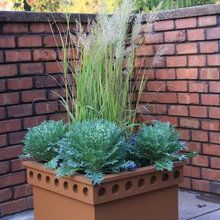 fall container