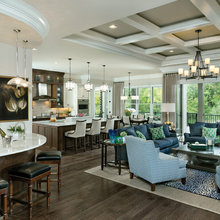 Living Room Ideas