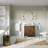 Forrester Bathroom Vanity, Single Sink, 31", Antique Coffee, Freestanding
