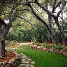 Garden - new