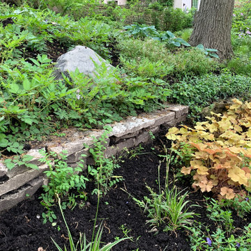 Ravine Restoration and Stabilization