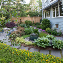 Patio Ideas