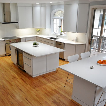 Sleek and European Kitchen Remodel