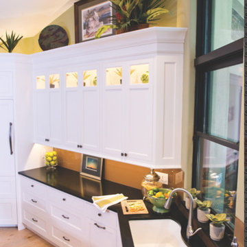 Sarasota Transitional Kitchen