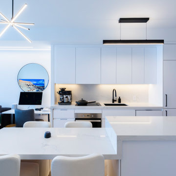 Modern Minimalist Urban Condo