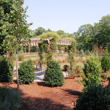 Plant Installation