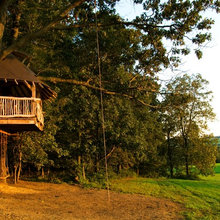 Colette's Treehouse