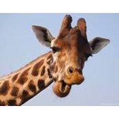Tammy Longe's photo