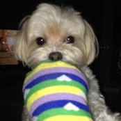 Foto von Linda Bloom