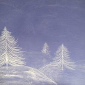 Stefania Ravasini's photo
