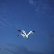 Foto von Sharon Wyrick