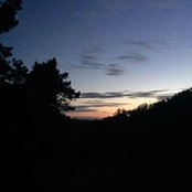 Melody Nelson's photo