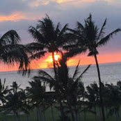 Michelle Stanchina's photo