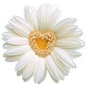 Nancy Paule-Waller's photo