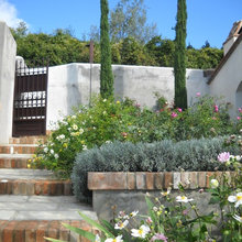 Landscape Ideas