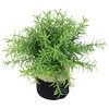 9" Green Leafy Artificial Spring Foliage, Fabric Covered Pot