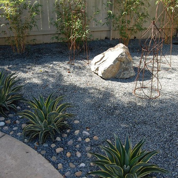 Modern succulent garden in Pacific Beach