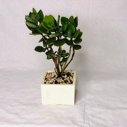 Concrete decor product - Products