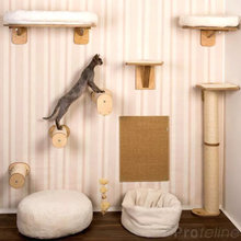 cat tree