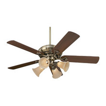 Ceiling Fans