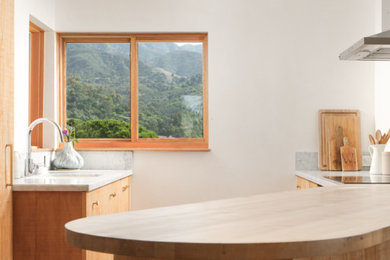 Arts and crafts kitchen photo in Santa Barbara
